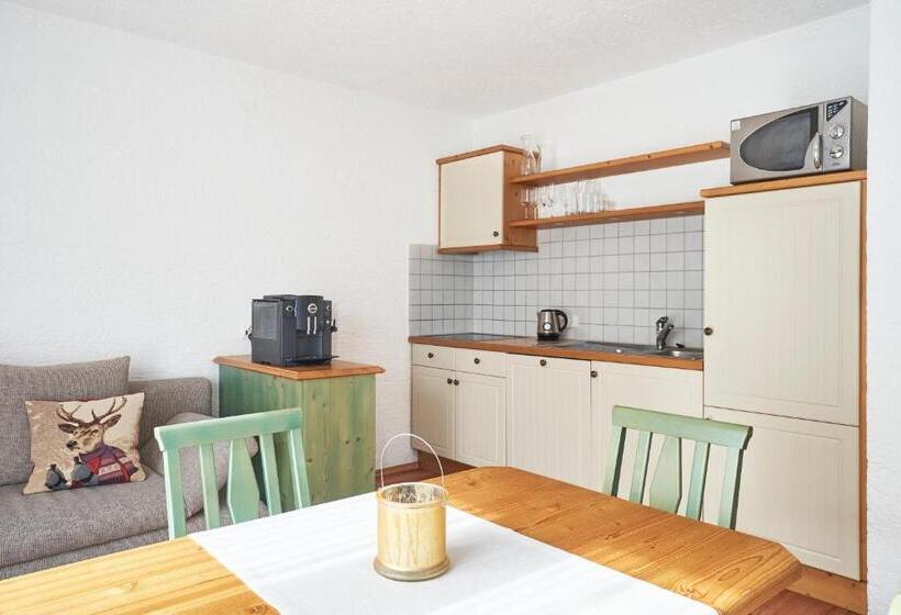 آپارتمان 1 خوابه با بالکن, Rosamunde Apartments