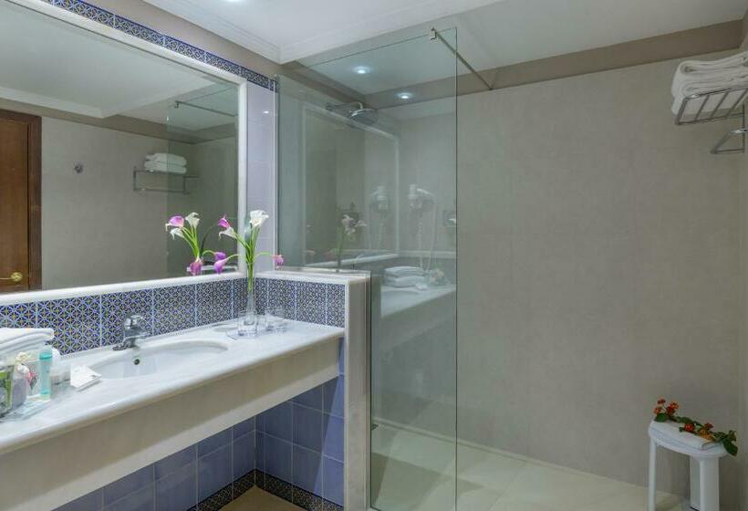 스탠다드 룸, Hipotels Natura Palace - Adults Only