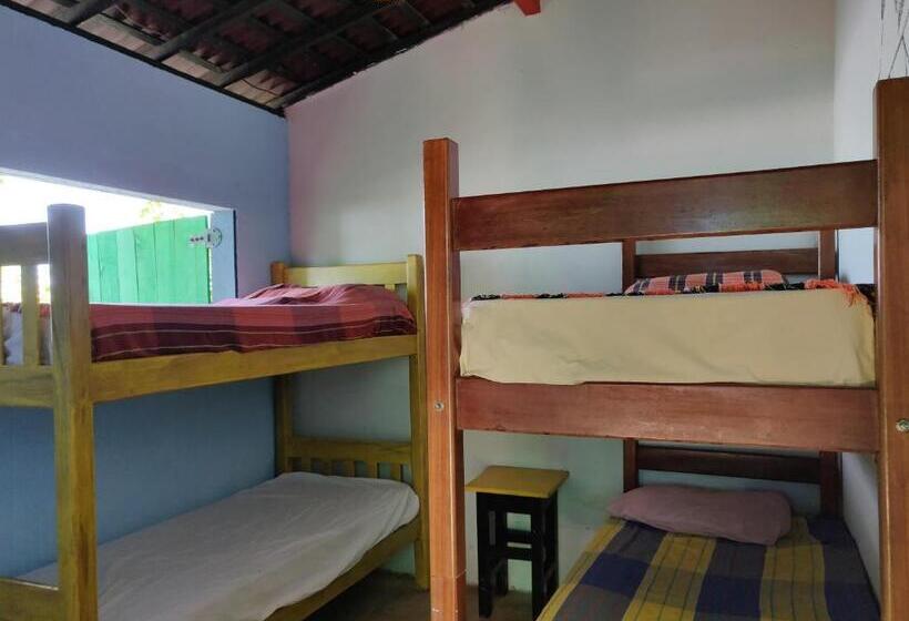 Четырехместный Номер Стандарт Вид на Море, Hostel Casa De Jack