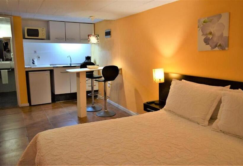 스탠다드 스튜디오 바다 전망, Apart Hotel Terrazas De San Francisco