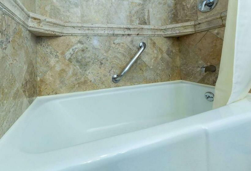 اتاق کلاس بیزنس, Clarion Hotel Real Tegucigalpa
