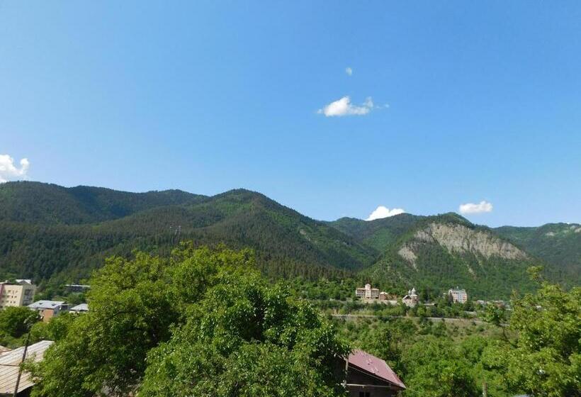 اتاق خانوادگی با چشم‌انداز کوه, Akaki's Guesthouse