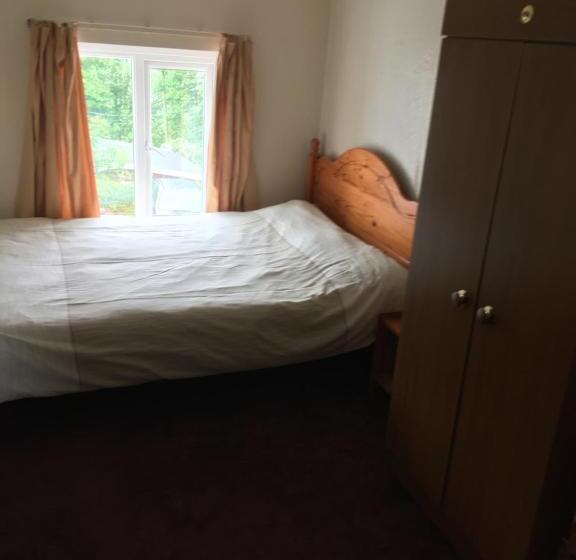 Номер Стандарт, Pantyrathro International Hostel