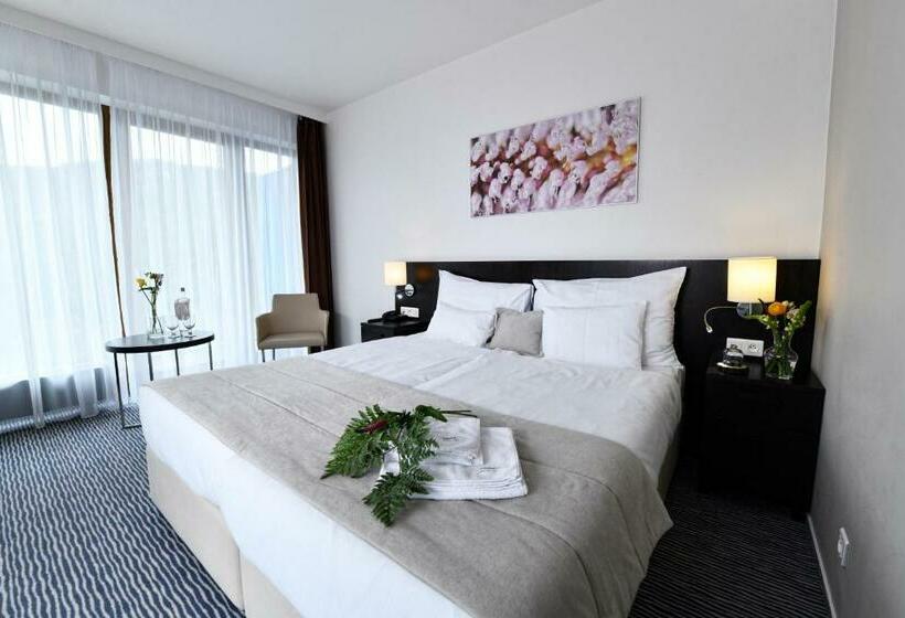 اتاق استاندارد, Wellness Hotel Vista