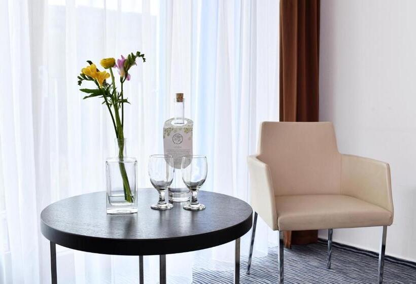 اتاق استاندارد, Wellness Hotel Vista
