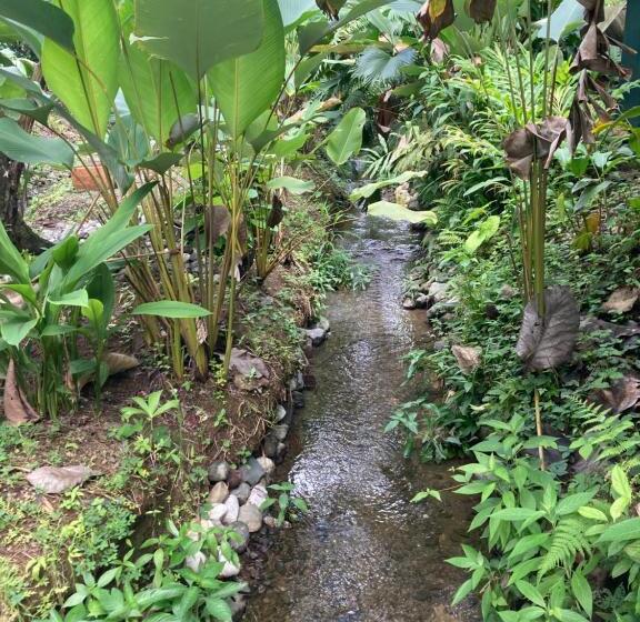 스탠다드 방갈로 정원 전망, Yejos Jungle Lodge