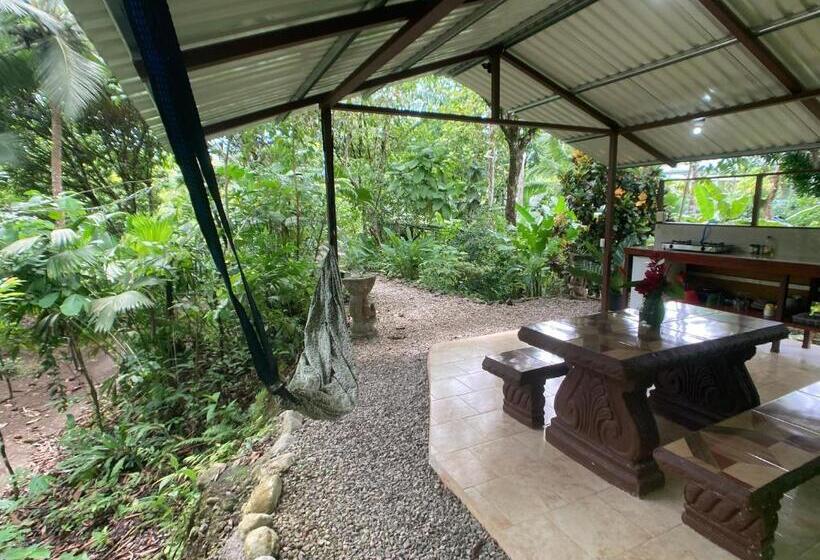 오두막, Yejos Jungle Lodge