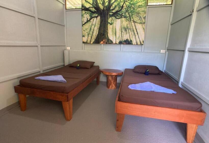 이코노미 룸, Yejos Jungle Lodge