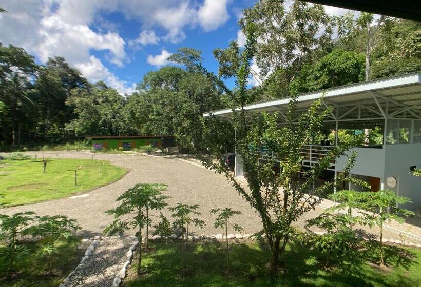 غرفة إقتصادية, Yejos Jungle Lodge