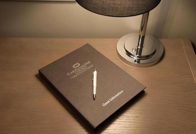 اتاق کلاس بیزنس, Carrigaline Court Hotel & Leisure Centre