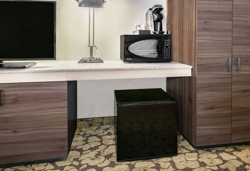 适合残疾人使用的标准间, Hilton Garden Inn San Antonio Airport