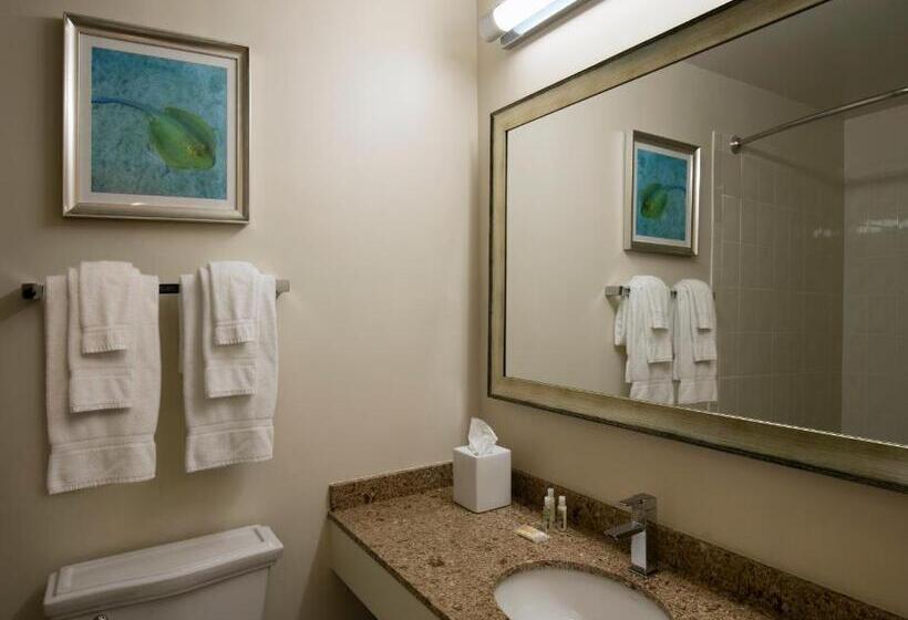 身障者適用キングサイズベッドルーム, Cirque St. Armands Beachside
