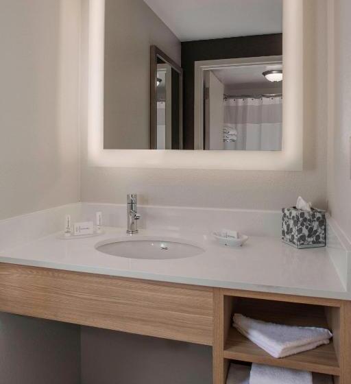 2 베드룸 이그제큐티브 스위트, Springhill Suites By Marriott New Orleans Warehouse Arts District