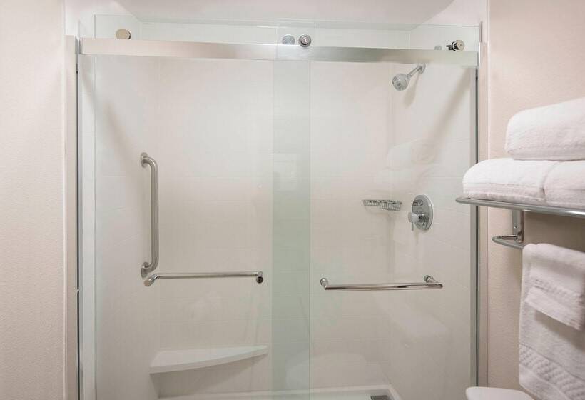 2 베드룸 이그제큐티브 스위트, Springhill Suites By Marriott New Orleans Warehouse Arts District