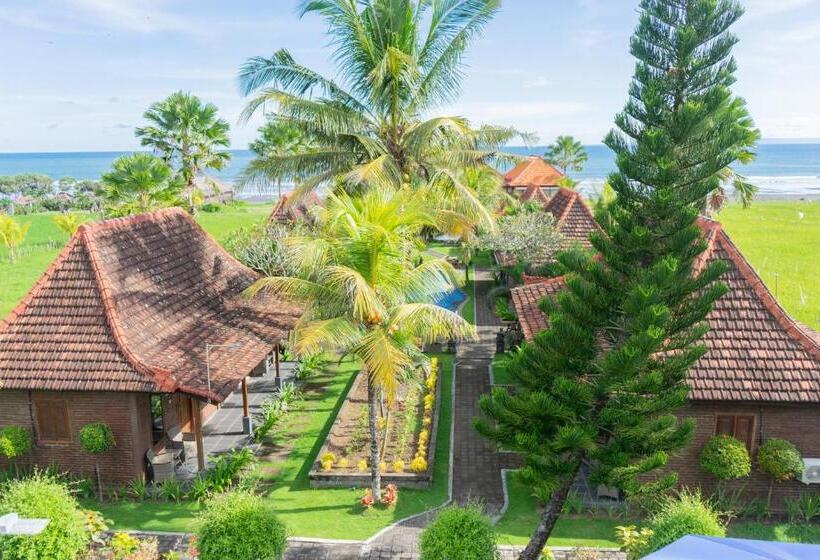 Номер Стандарт Вид на Море, Arton Resort & Beach Club