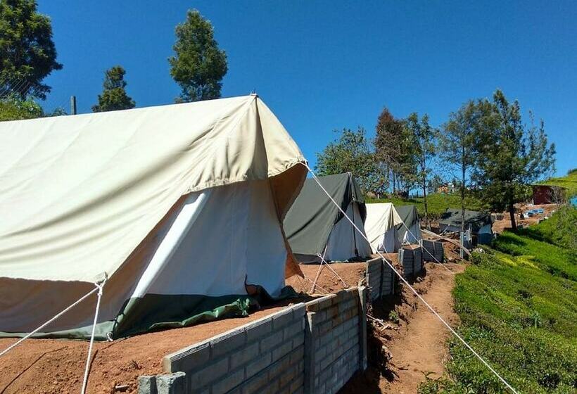 Standard Tent, Janardan Tea Resort   Campsite