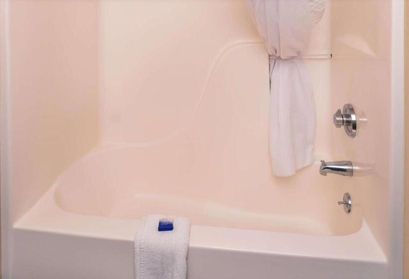 身障者適用キングサイズベッドルーム, Best Western Executive Inn & Suites
