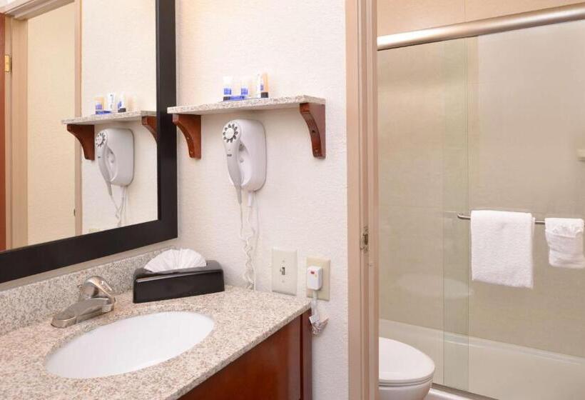 キングサイズベッドのスタンダードルーム, Best Western Executive Inn & Suites
