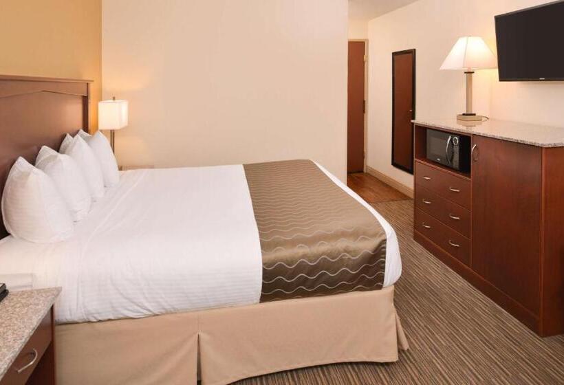 キングサイズベッドのスタンダードルーム, Best Western Executive Inn & Suites