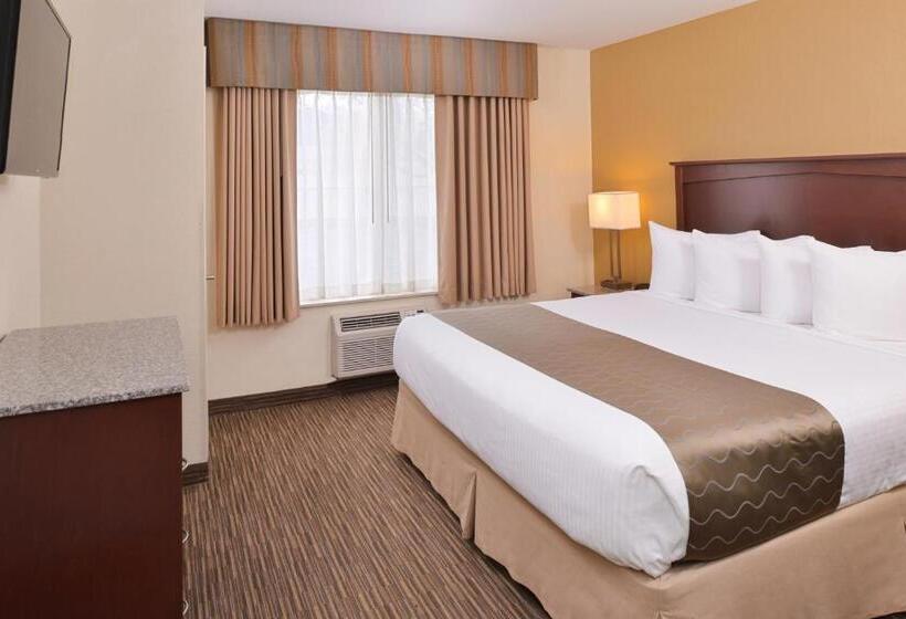 キングサイズベッドのデラックスルーム, Best Western Executive Inn & Suites