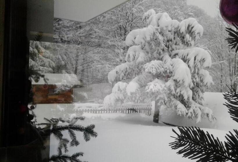 اتاق استاندارد, Flor Alpes