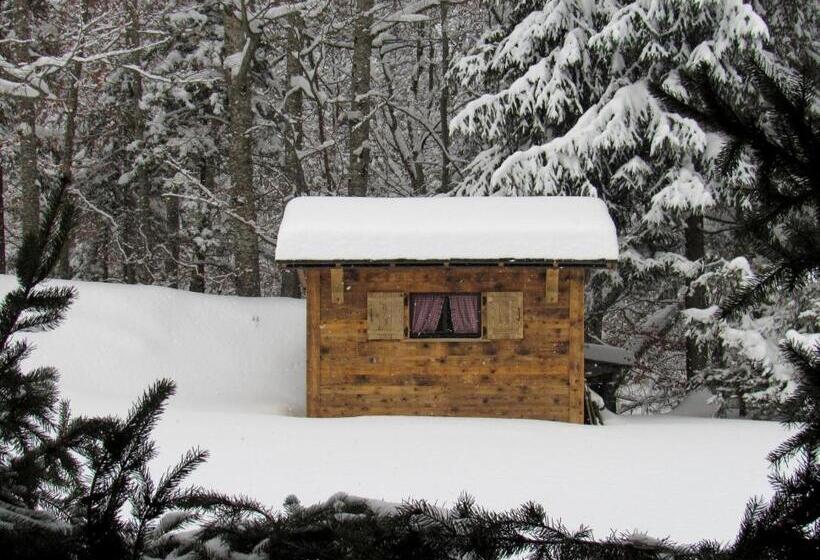 اتاق استاندارد چهار تخته, Flor Alpes