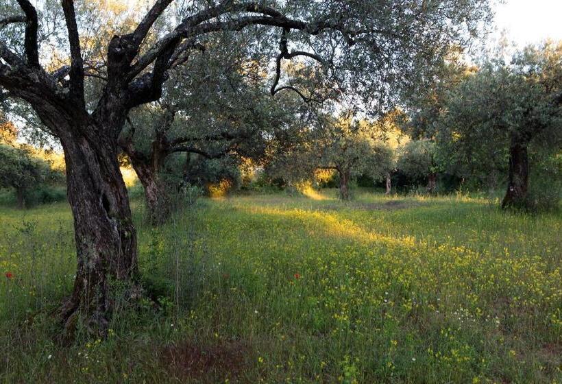 Люкс с Террасой, Restaurant Le Gardon   Pont Du Gard
