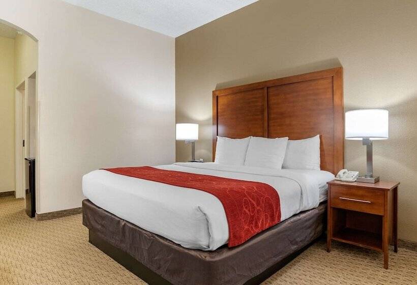 Люкс, Comfort Suites Airport
