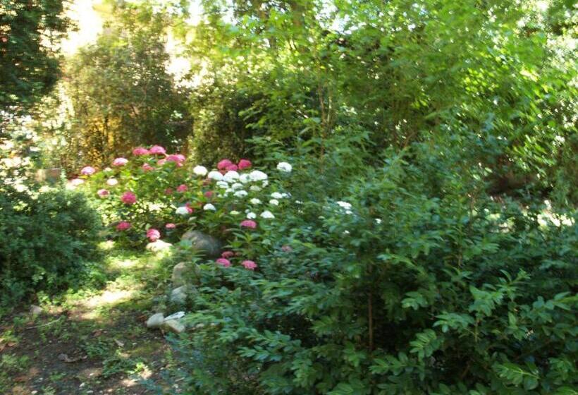 اتاق استاندارد با تخت بزرگ, Villa Ghia