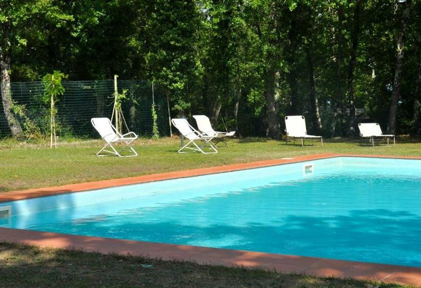 Апартаменты 2 Спальни, Agriturismo Testalepre