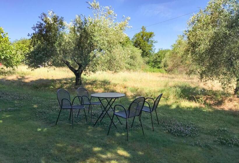 Апартаменты 2 Спальни, Agriturismo Testalepre