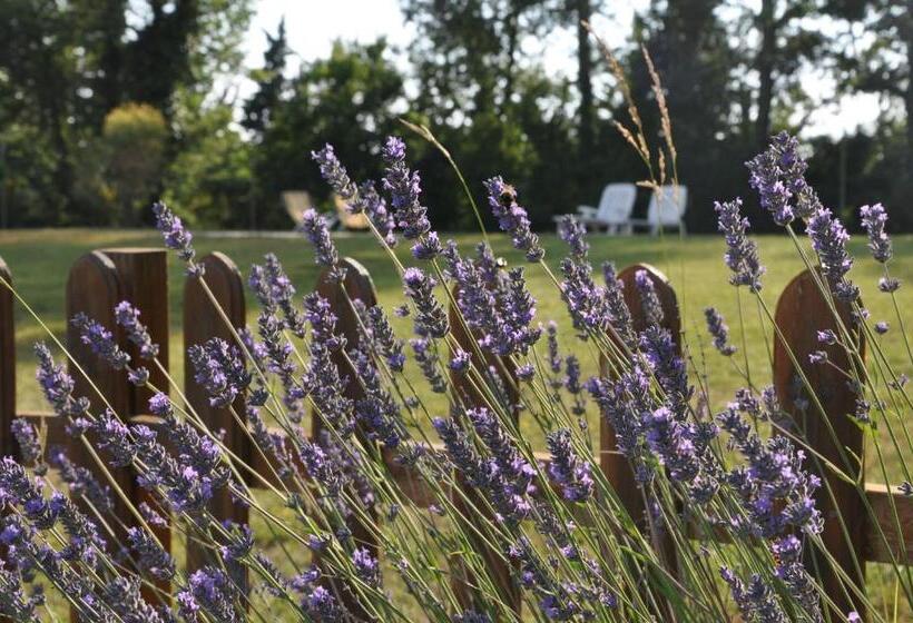 Апартаменты 2 Спальни, Agriturismo Testalepre