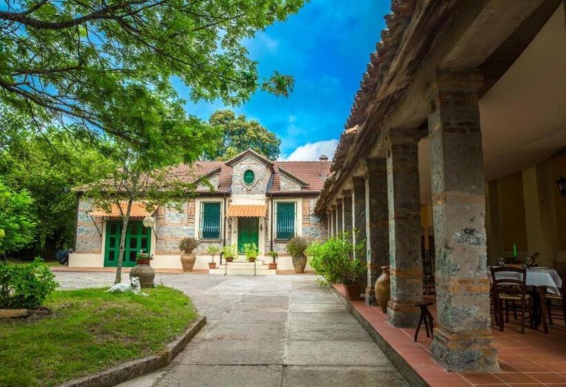 Номер Стандарт, Casale Trainaro