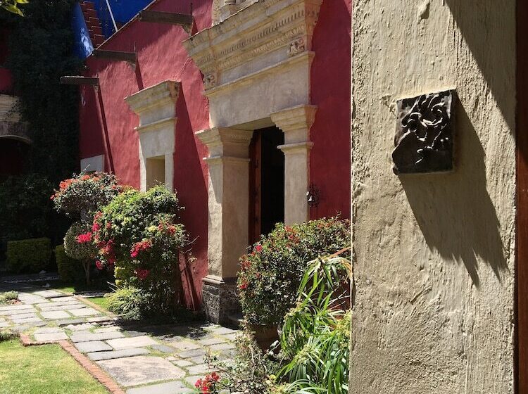 سوییت جونیور, Quinta Luna