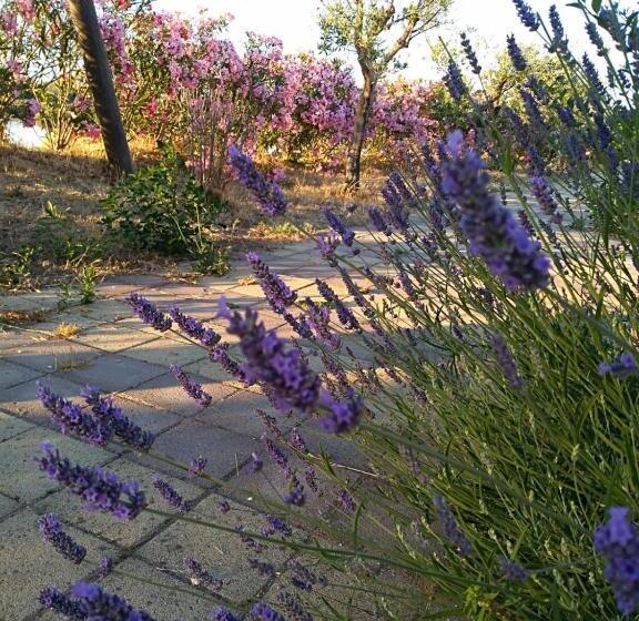 آپارتمان 1 خوابه با تراس, Torre Del Lago
