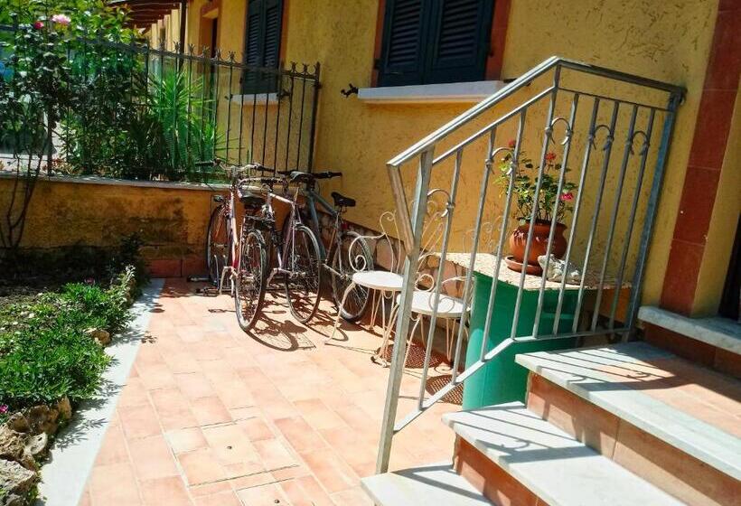 اتاق استاندارد سه نفره, Sally S B&b