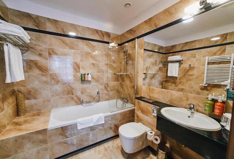 Полулюкс, Holiday Inn Krakow City Centre, An Ihg
