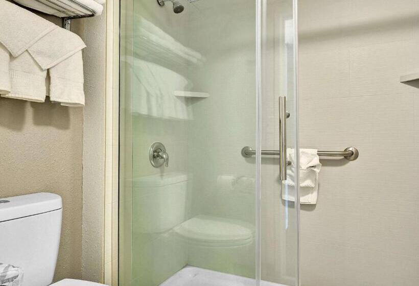 스탠다드 룸, Quality Hotel & Suites At The Falls