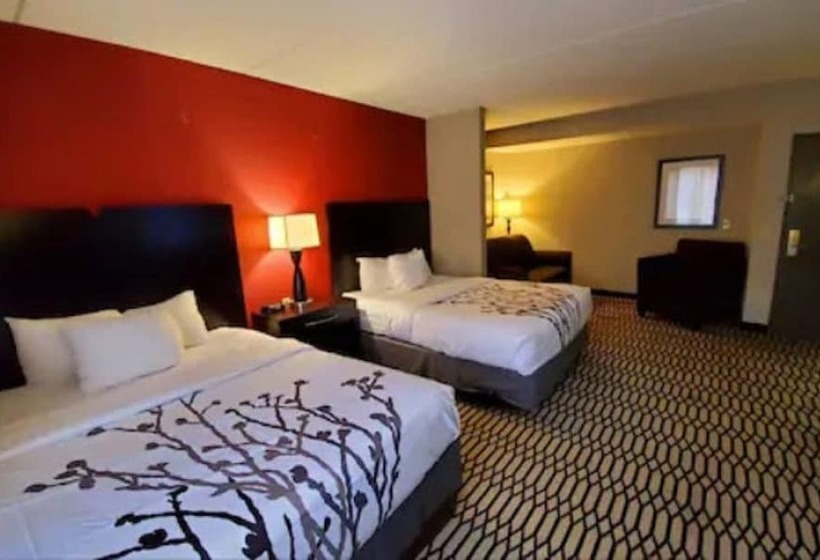 スイート, Bwi Suites