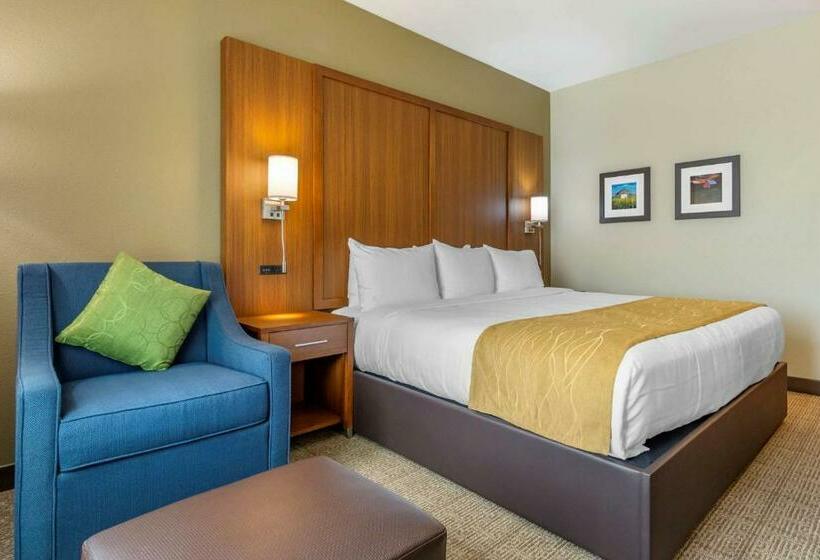 Стандартный Номер Кровать Кинг, Comfort Inn & Suites Lakewood By Jblm