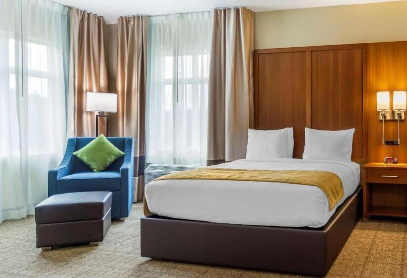 Люкс Кровать Кинг, Comfort Inn & Suites Lakewood By Jblm