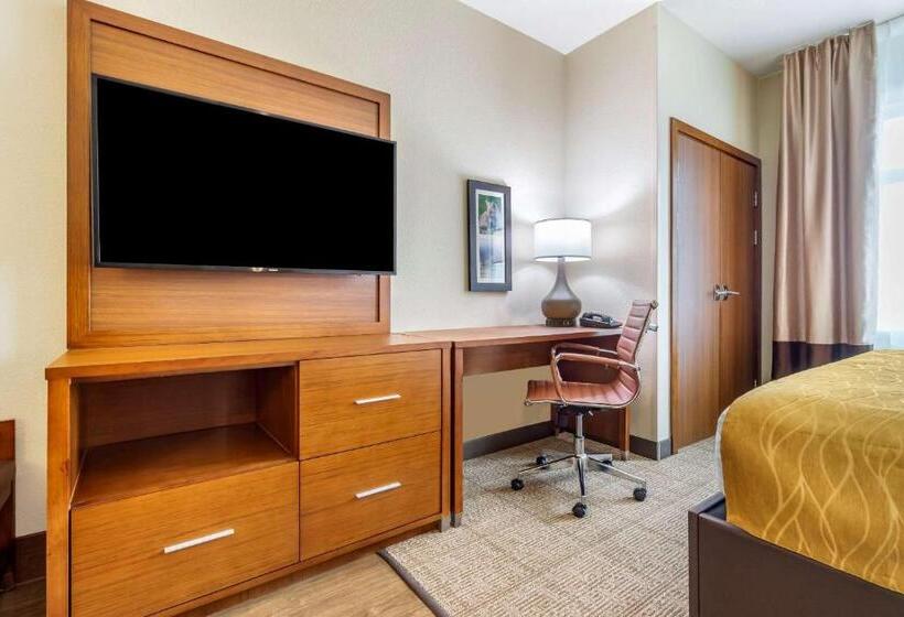 Номер Стандарт Адаптированный для Инвалидов, Comfort Inn & Suites Lakewood By Jblm