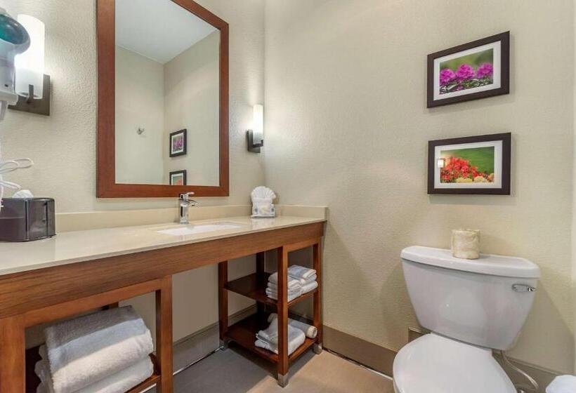 Номер Стандарт Кровать Кинг Адаптированный для Инвалидов, Comfort Inn & Suites Lakewood By Jblm