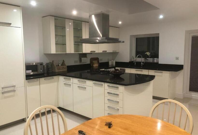 اتاق اکونومی, South Avenue B&b