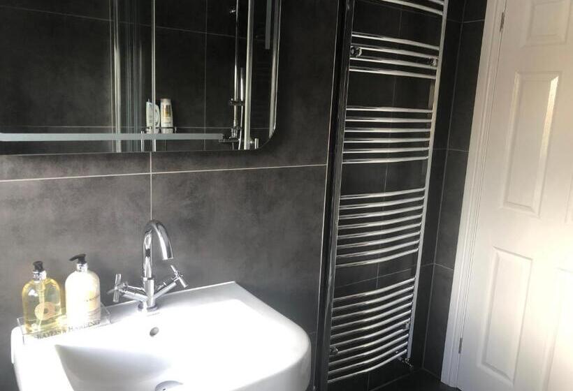اتاق اکونومی, South Avenue B&b