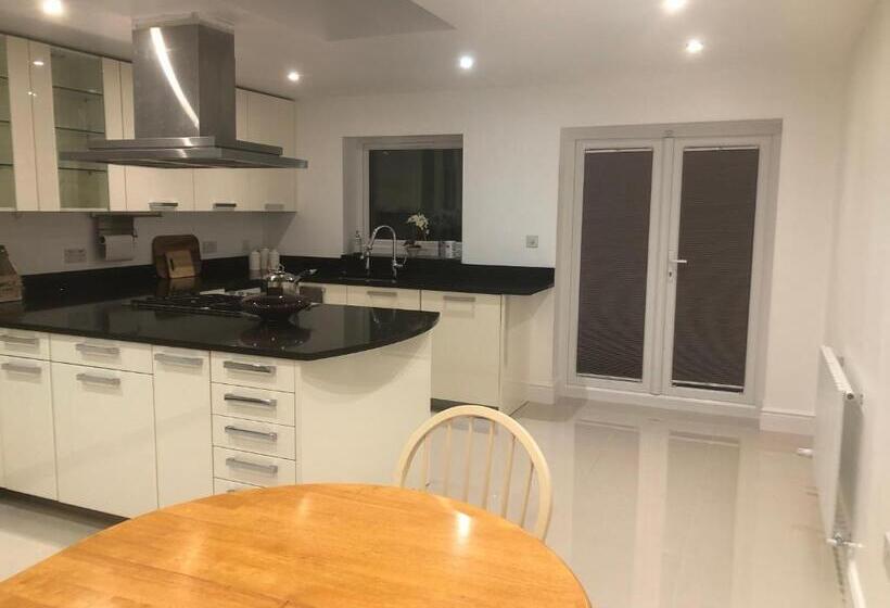 اتاق اکونومی, South Avenue B&b