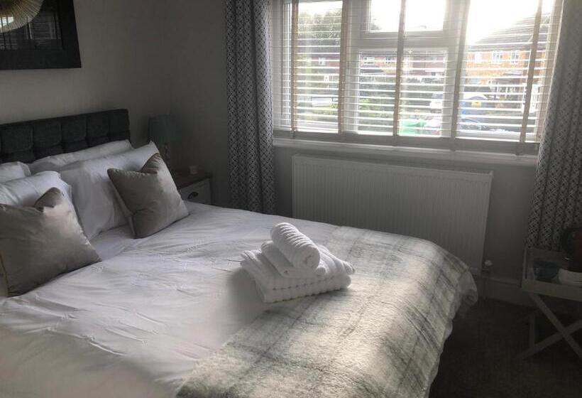اتاق اکونومی, South Avenue B&b