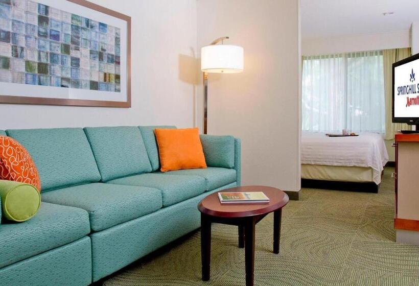 Estúdio standard Cama King, Springhill Suites Sarasota Bradenton