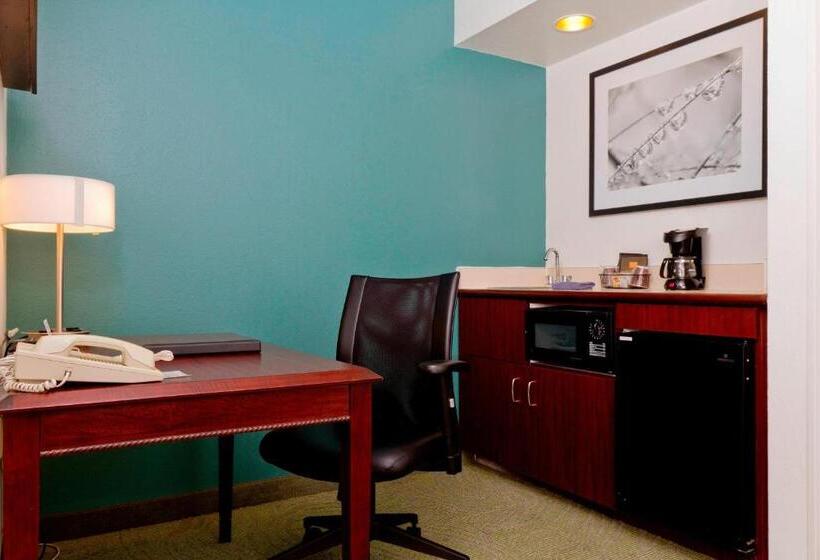 Escritório Estándar, Springhill Suites Sarasota Bradenton