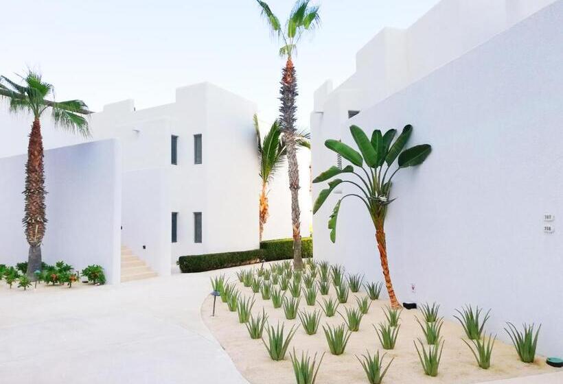 ベーシックルーム, Marquis Los Cabos, An All   Inclusive, Adults   Only & No Timeshare Resort